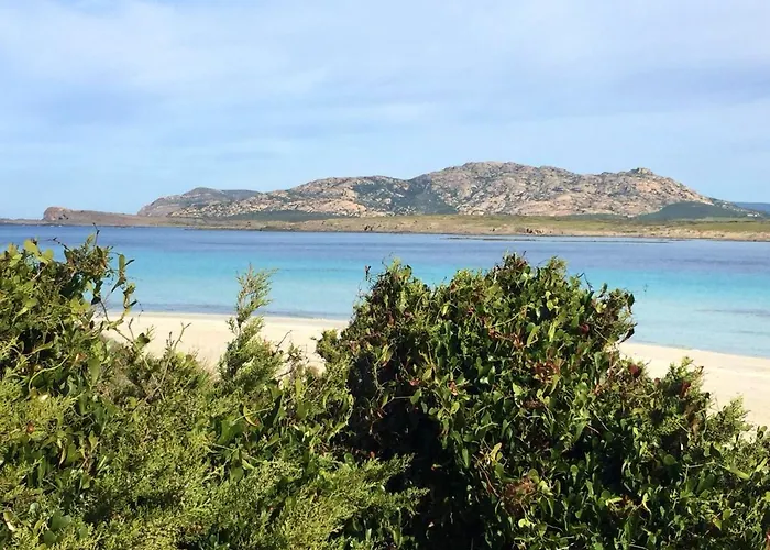 Casa de Férias Charming House In Stintino, Near La Pelosa