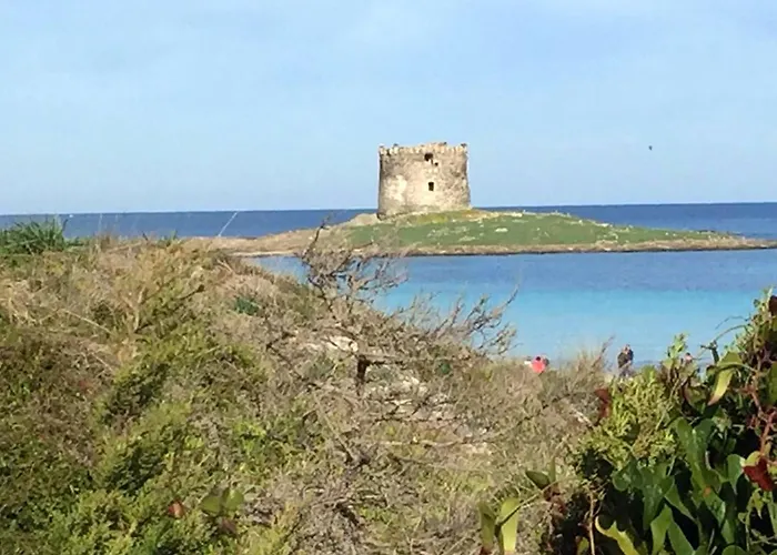 Casa de Férias Charming House In Stintino, Near La Pelosa *